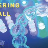 Screenshot of article in Contour Magazine